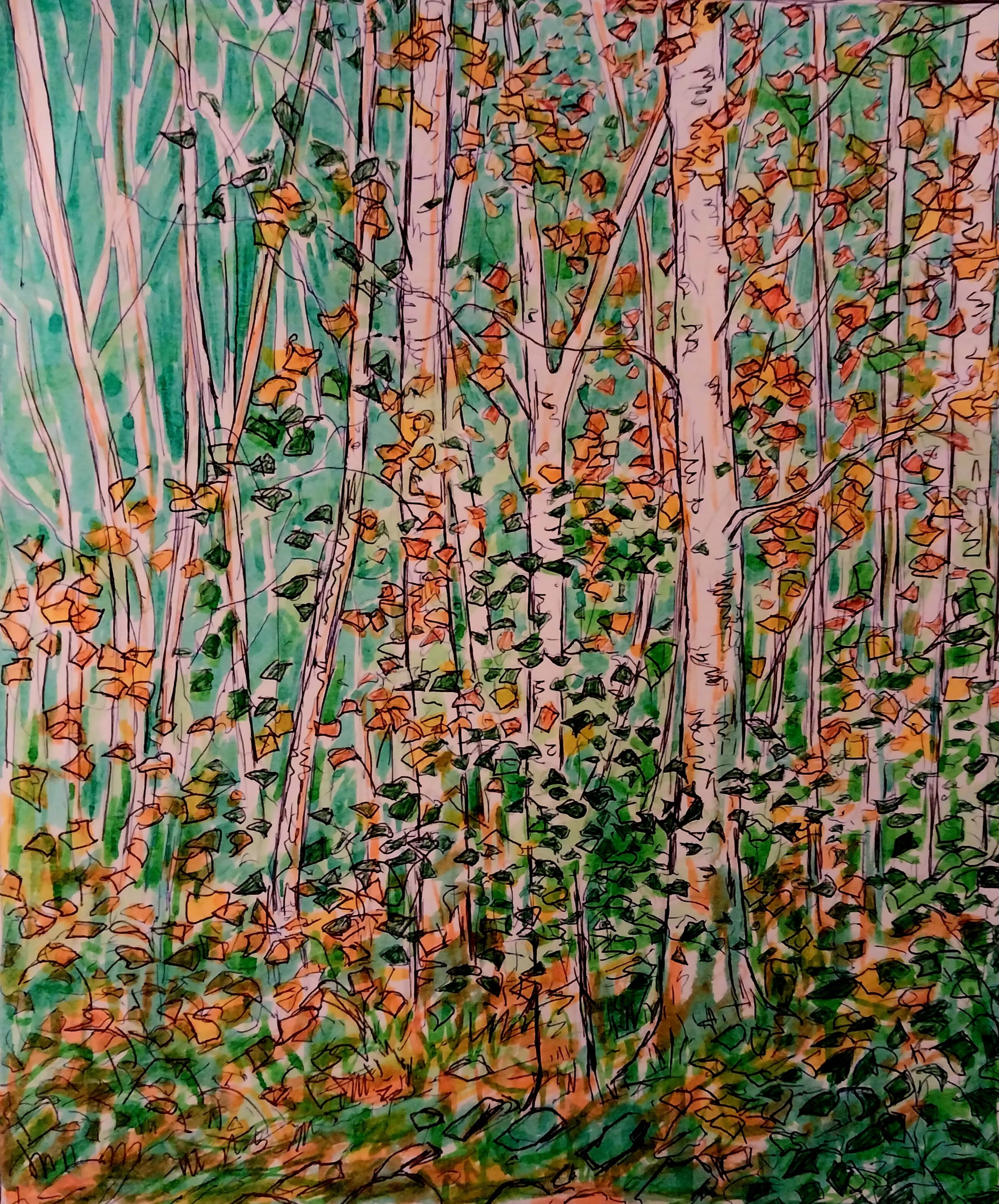 Drawing_Birch 2026.jpg