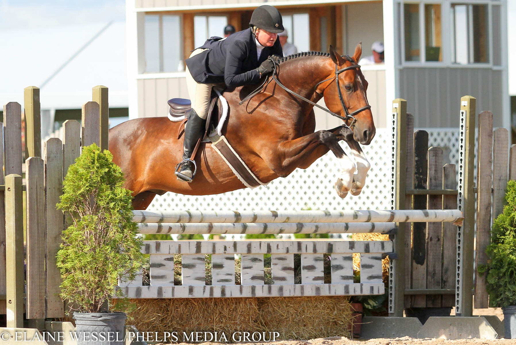 2015_GLEF_Week III_Amateur Owner 3'6 Hunters 35+_Patricia Edwards_Avendaro_Jumping.JPG