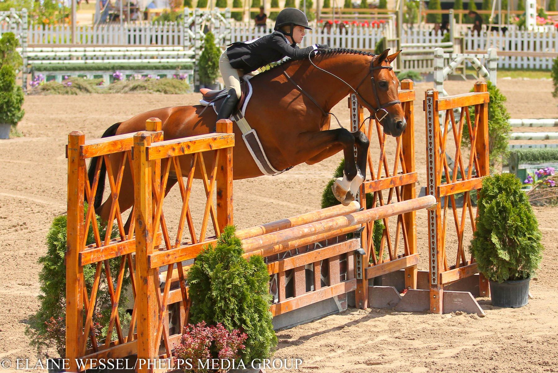 2015_GLEF_Week II_Junior 3'3 Hunters_Sophie Gochman_World Time_Jumping.jpg