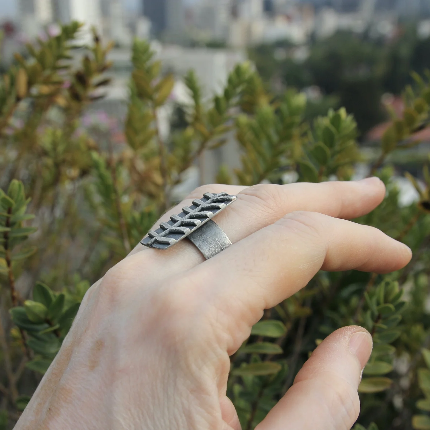 Within the Fern Ring — MUSIBATTYMUSIBATTY