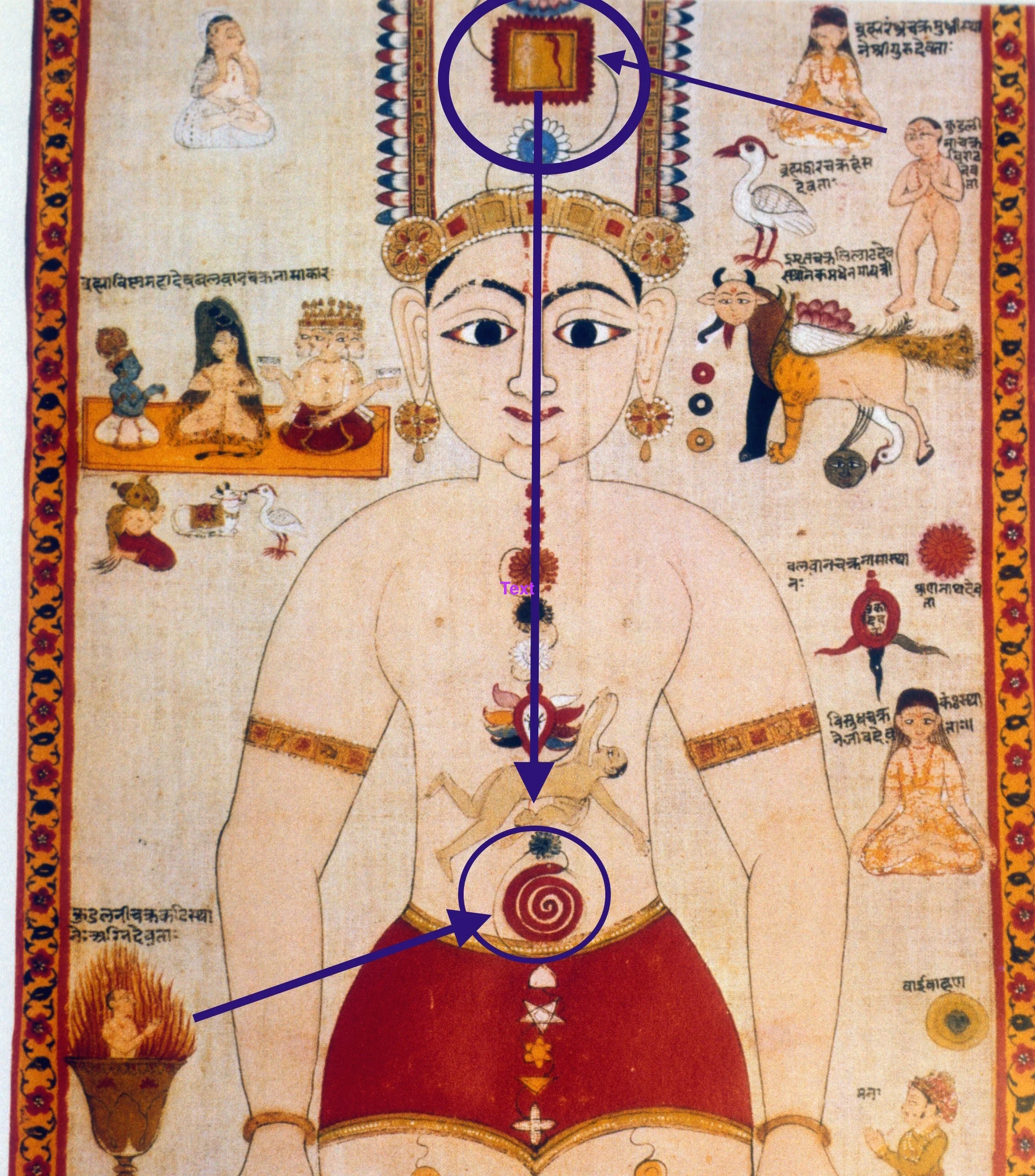 Chakra Scroll featuring the two Kundalinīs, with the upper Kuṇḍalinī descending from the top mūlādhāra chakra, indicated by the square above the head