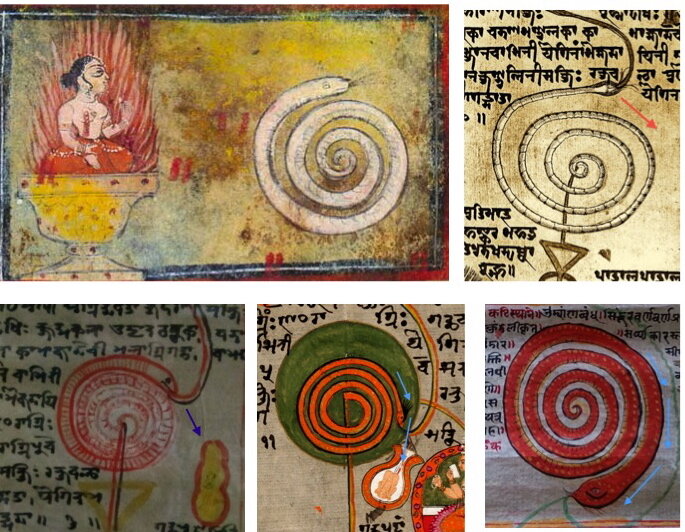 'Kuṇḍalinī Chakra,' collage from the different chakra scrolls