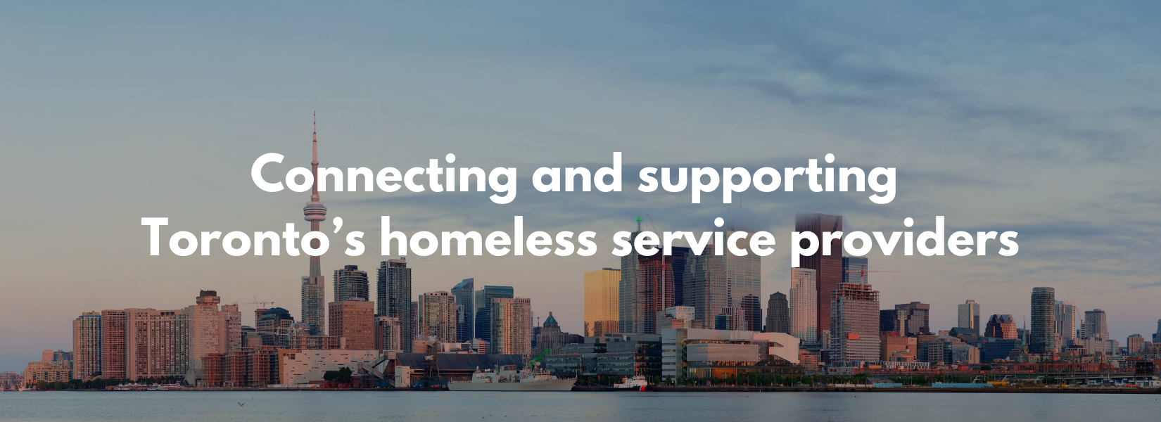Toronto Shelter Network - Header.png
