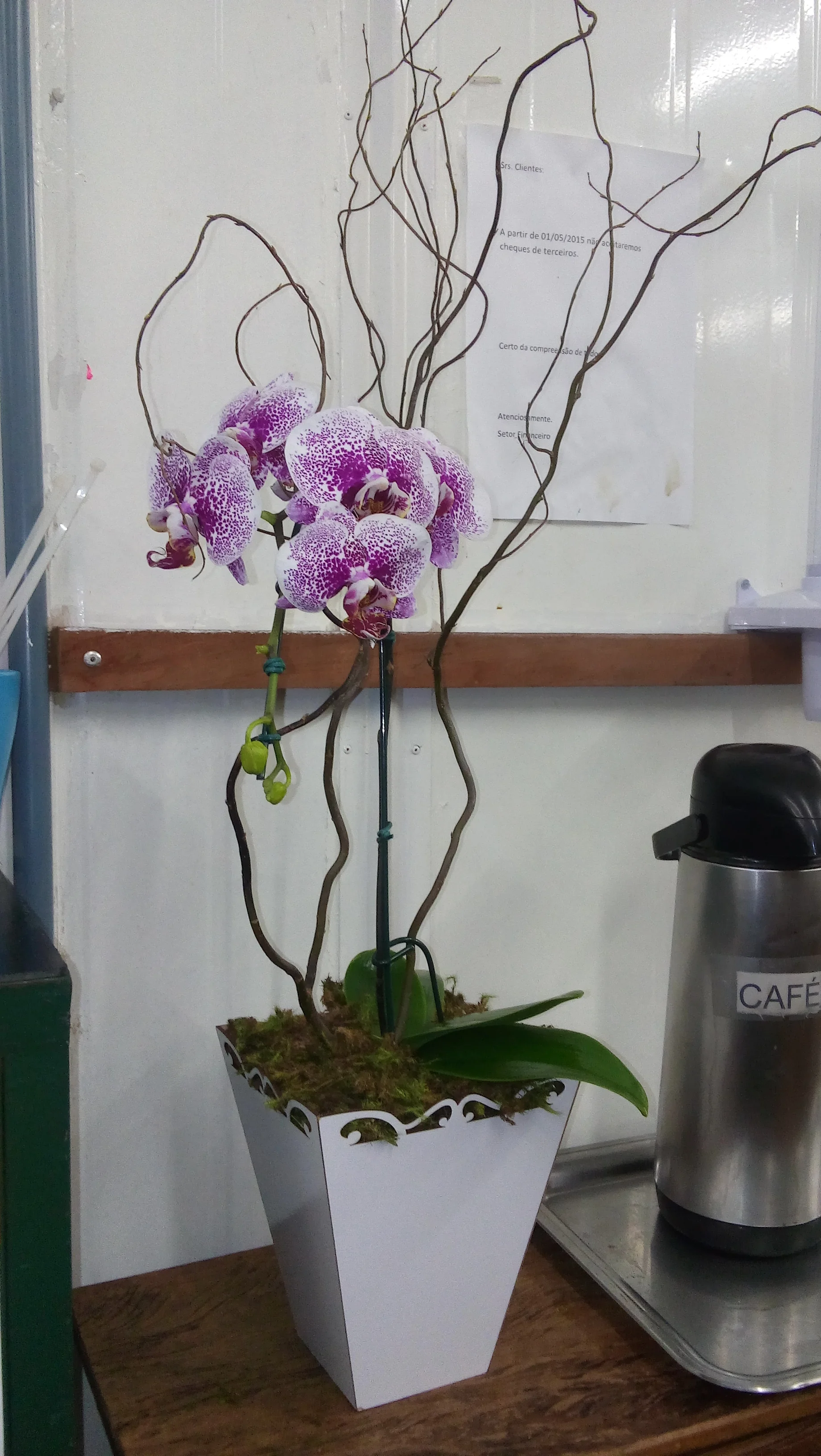20151018_185741.jpg