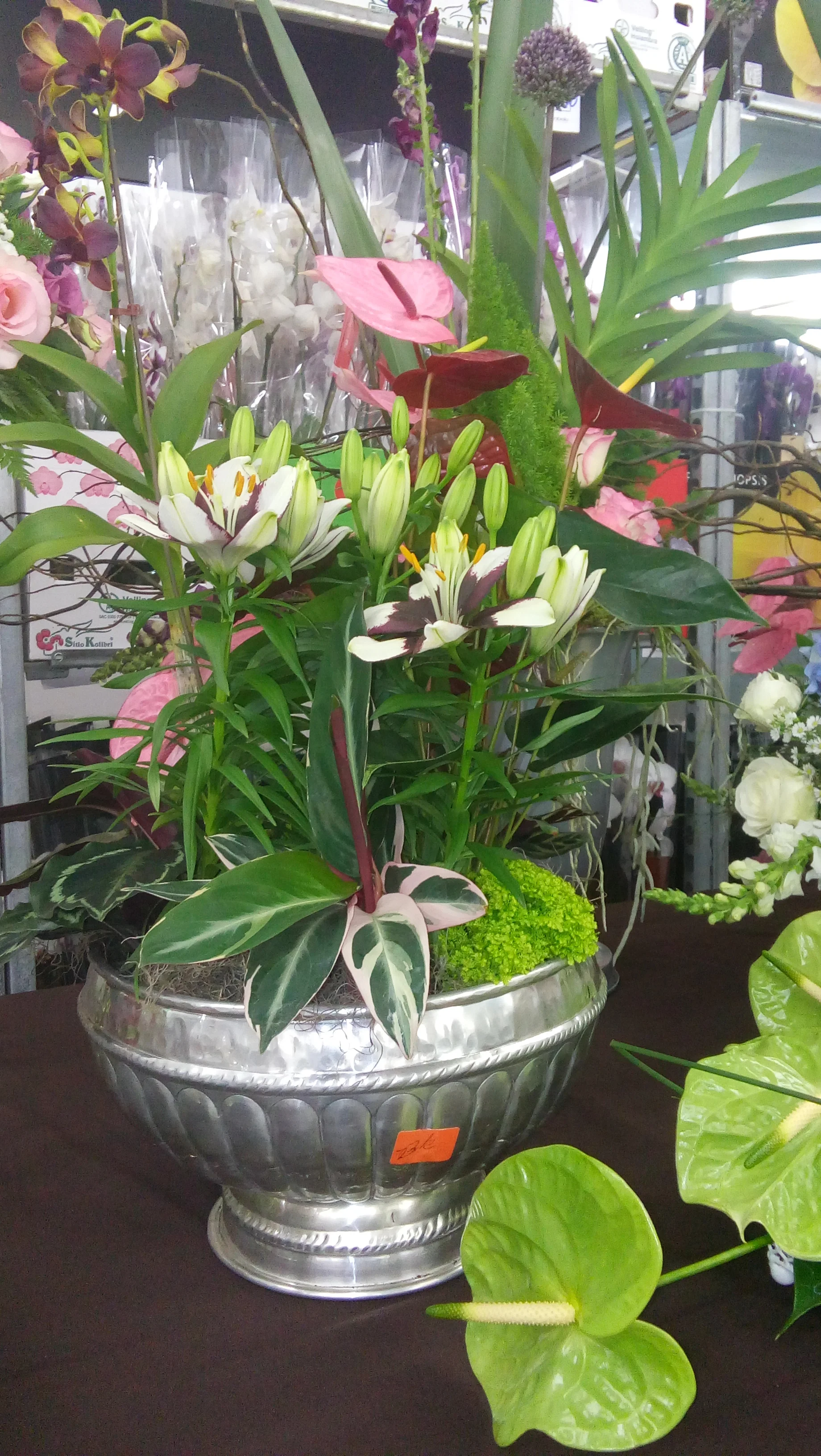 20151019_142850.jpg