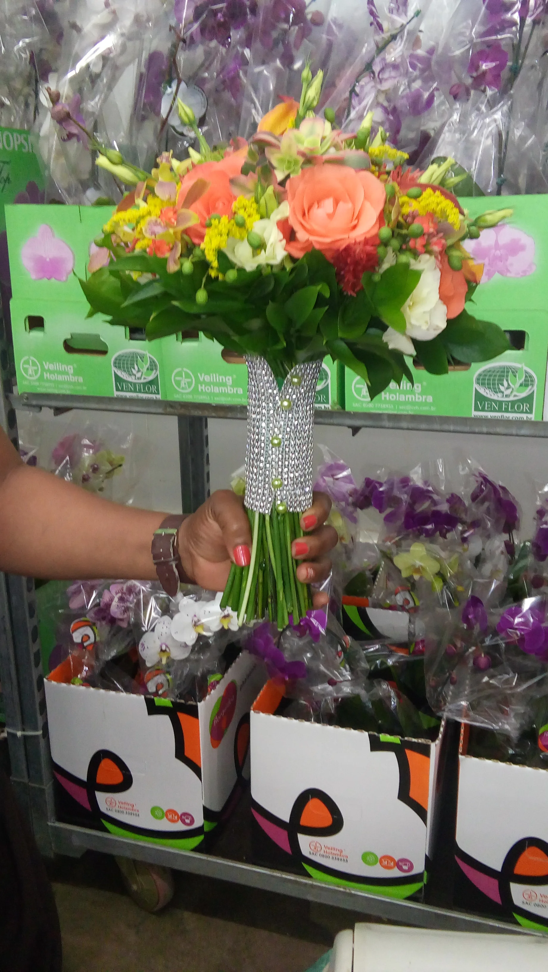 20151019_154223.jpg