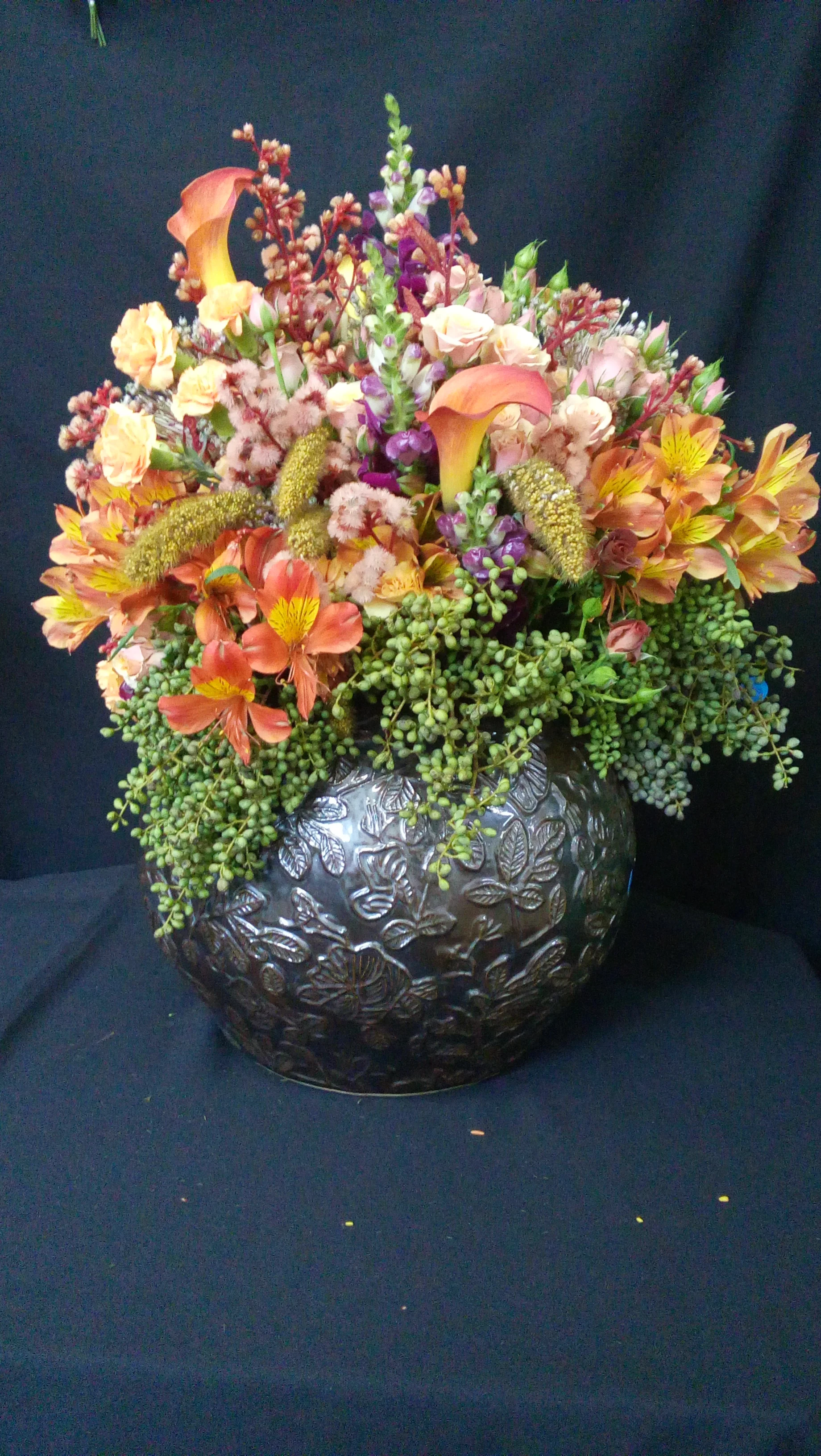 20151110_160033.jpg