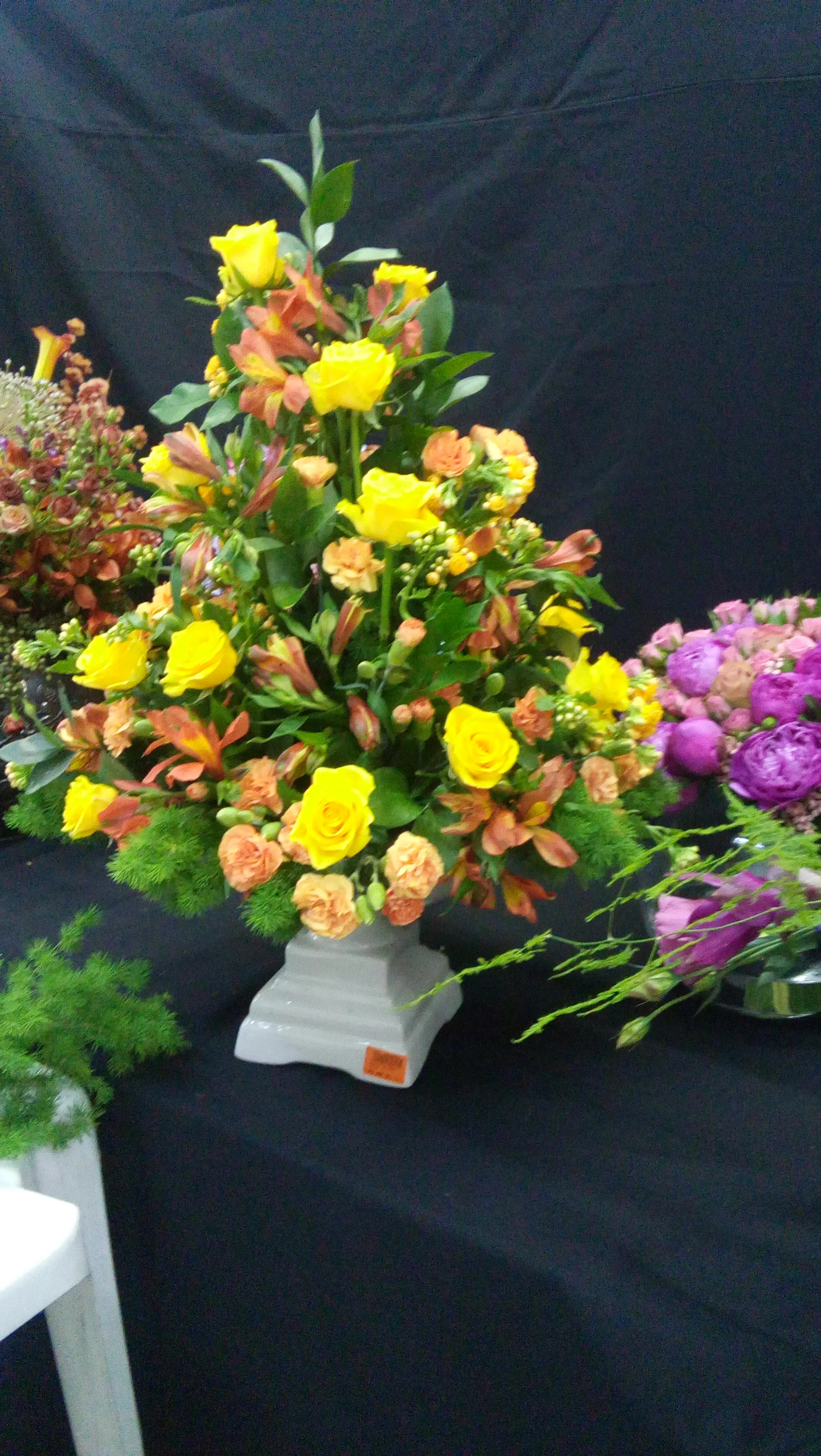 20151109_164430.jpg