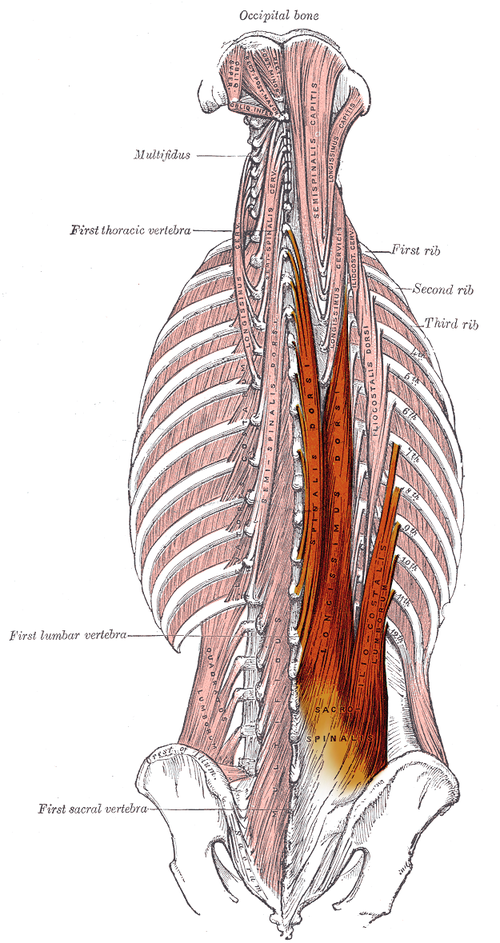 Image credit: wikipedia.com