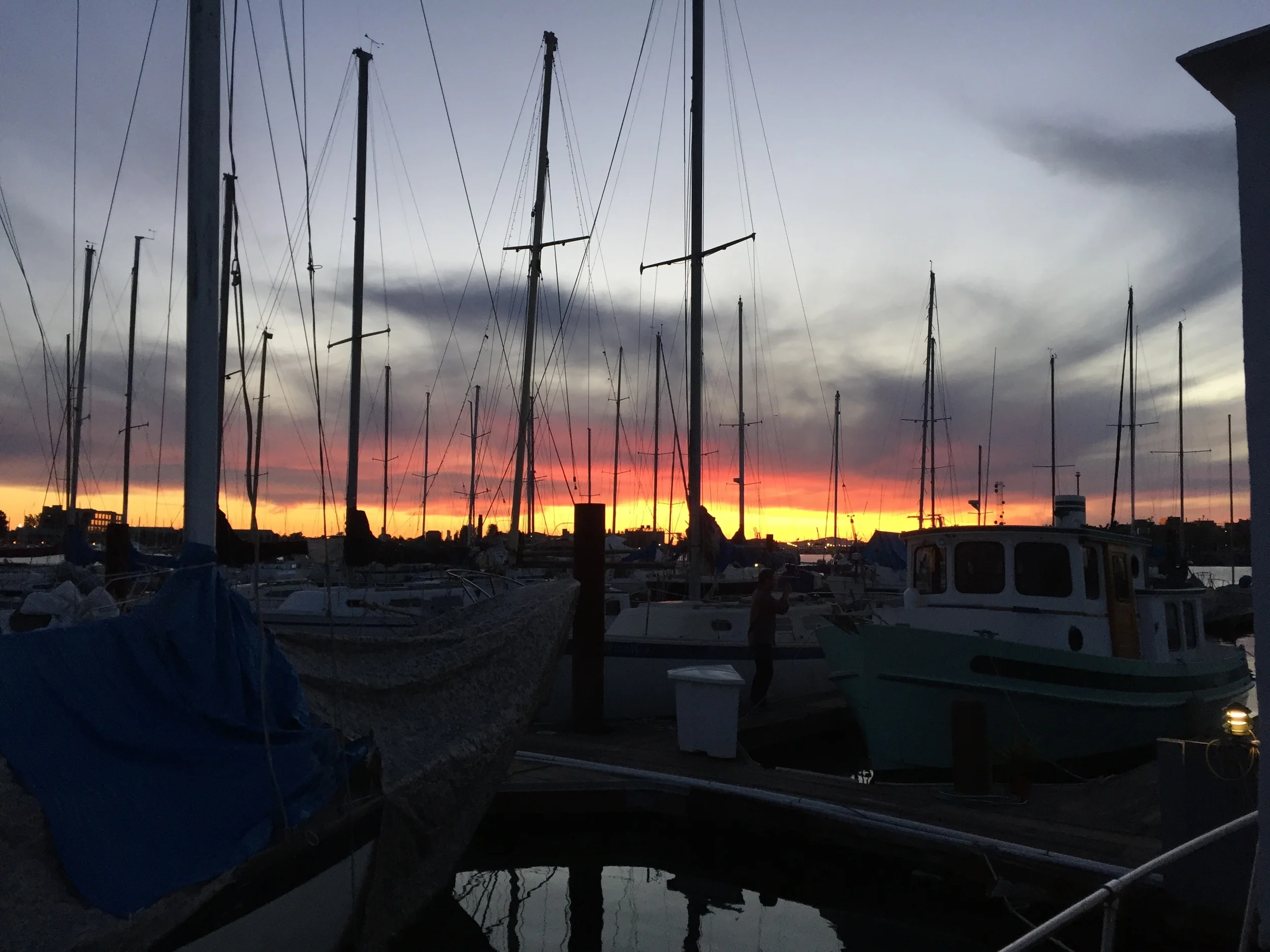 marina2.JPG