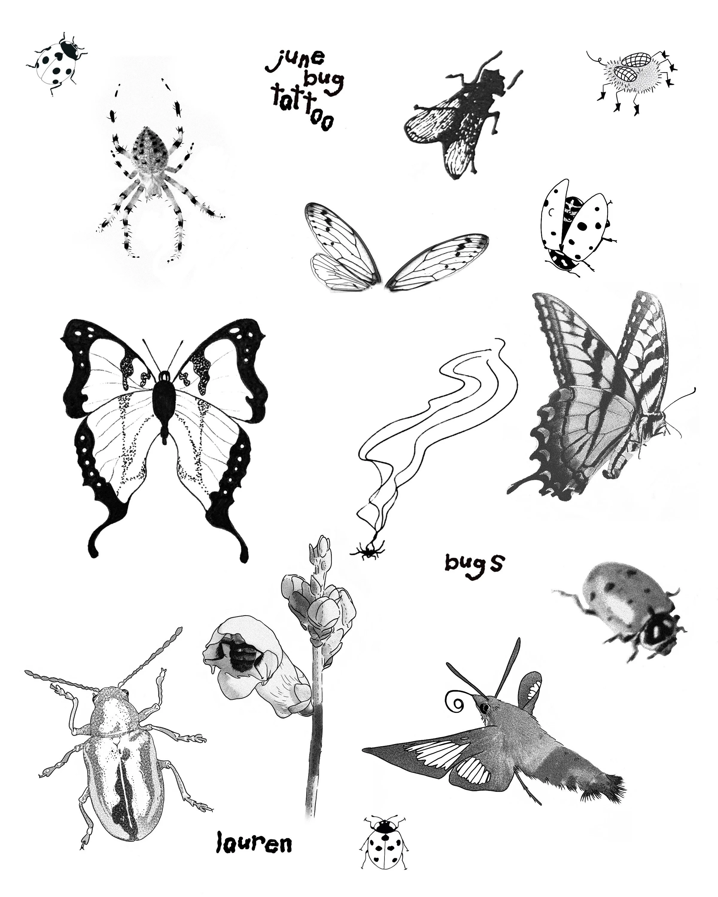 Insects.JPEG
