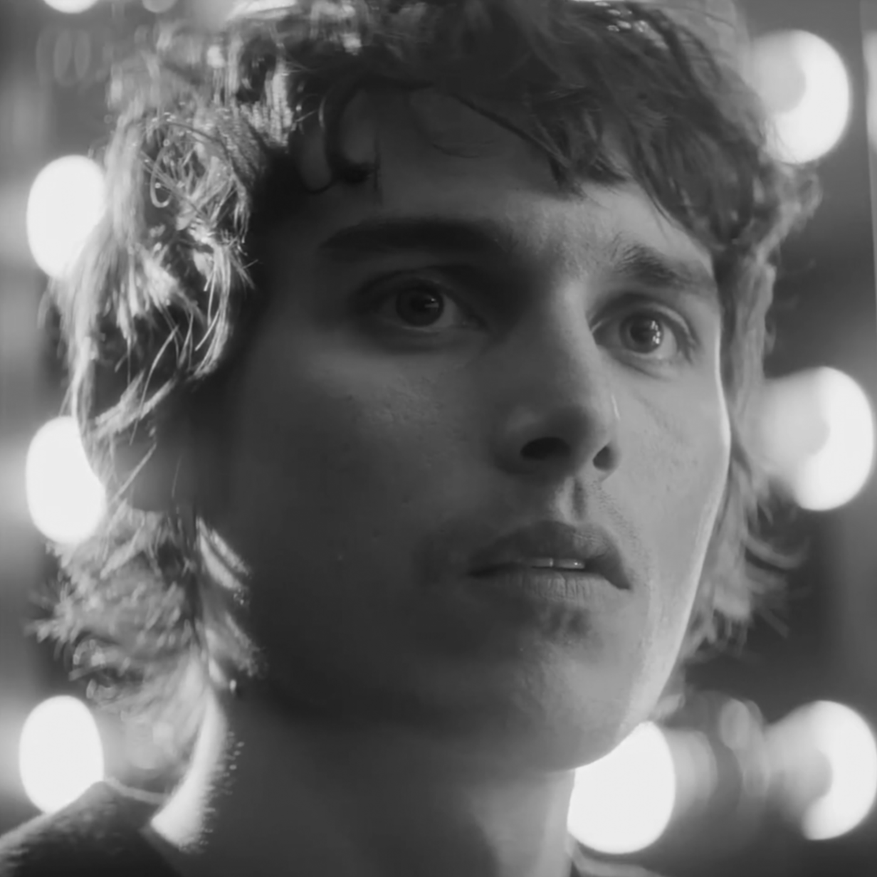 wallows.png