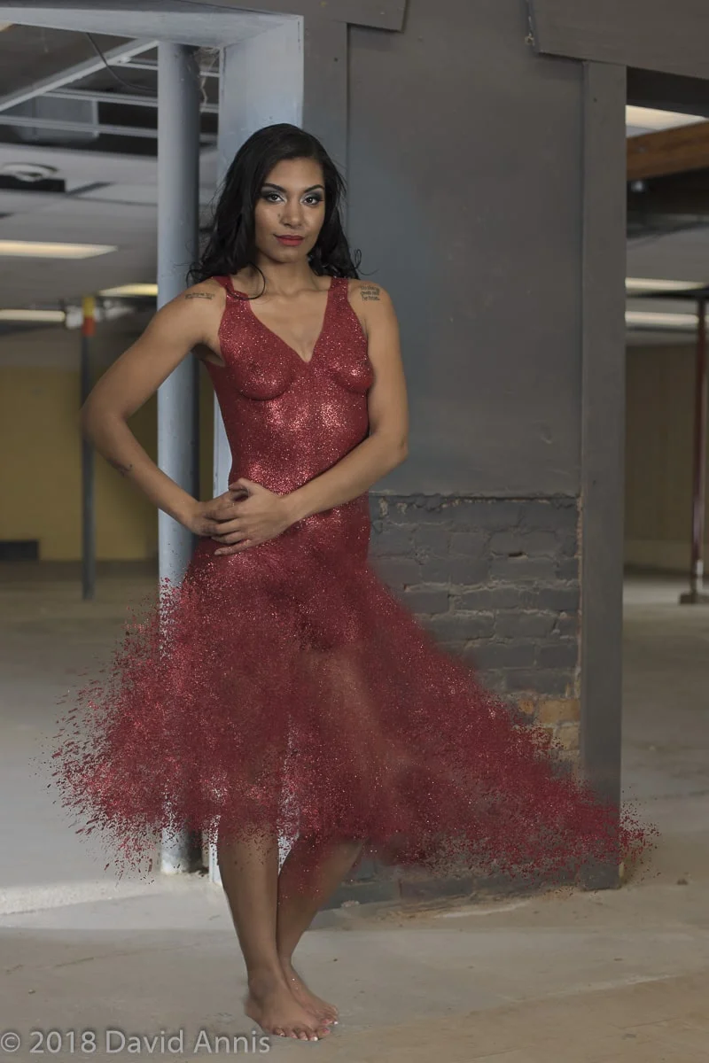  David Annis Photography linelightcolor.com 