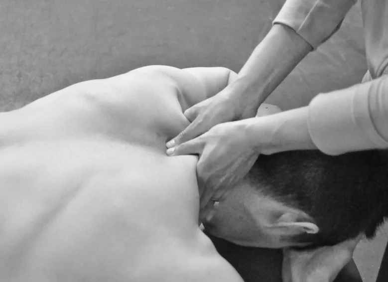 Our Specialties: Pilates Yoga Dancers Crossfit Athletes and Weightlifters Endurance Athletes, Runners and Triathletes
