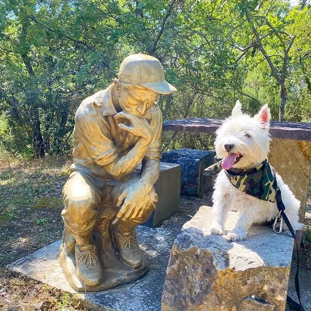 “...and then she said...wait, am I boring you with this story???” #longwindedwestie #storyteller #chitchat #goodlistener #hearmeout #westietales #westitude #whitedogabroad #westie