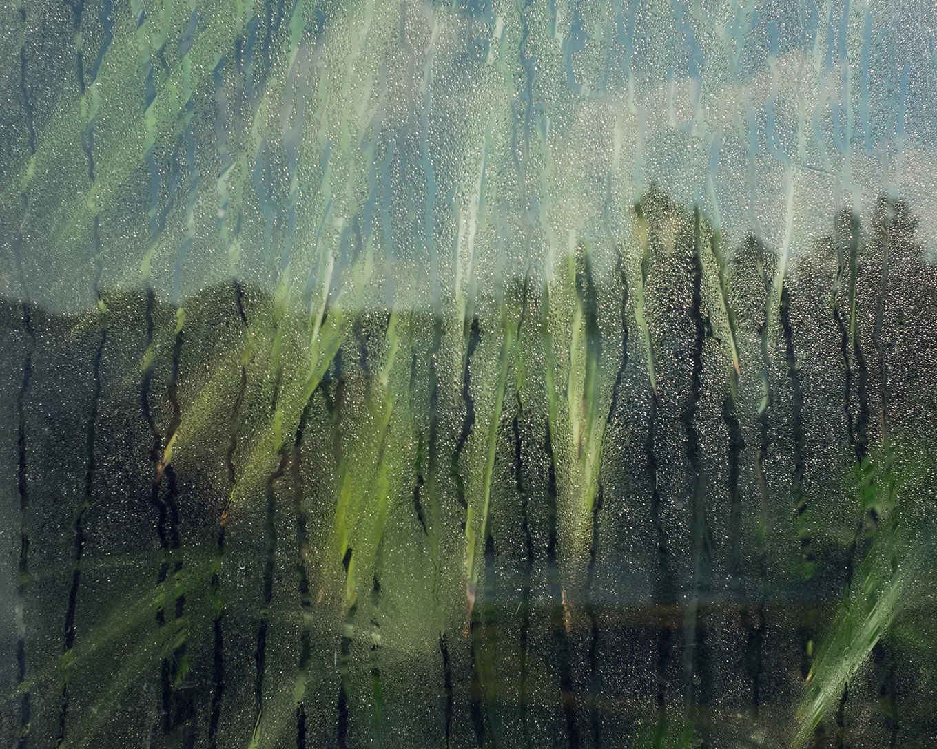 _DSF5954.jpg