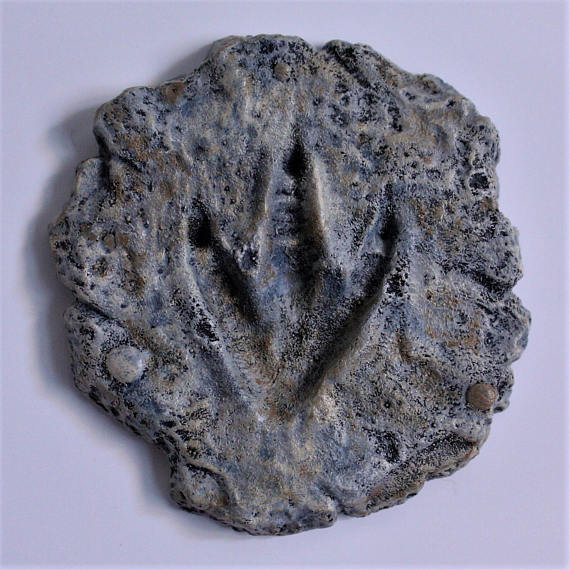 Therapod Footprint 1.jpg