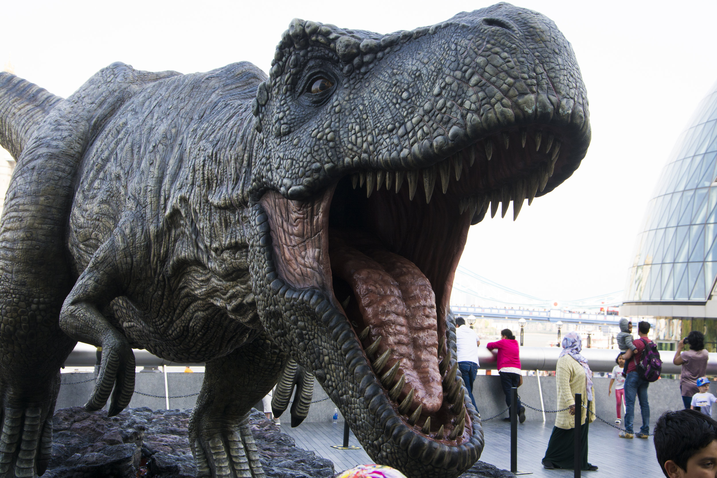 T-Rex 4.jpg