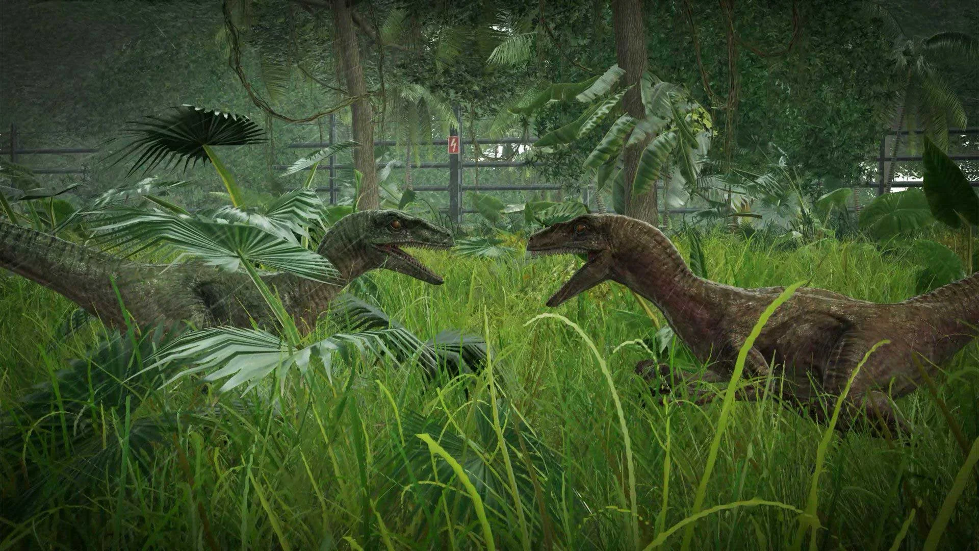 JWE_Screenshot_1.jpg
