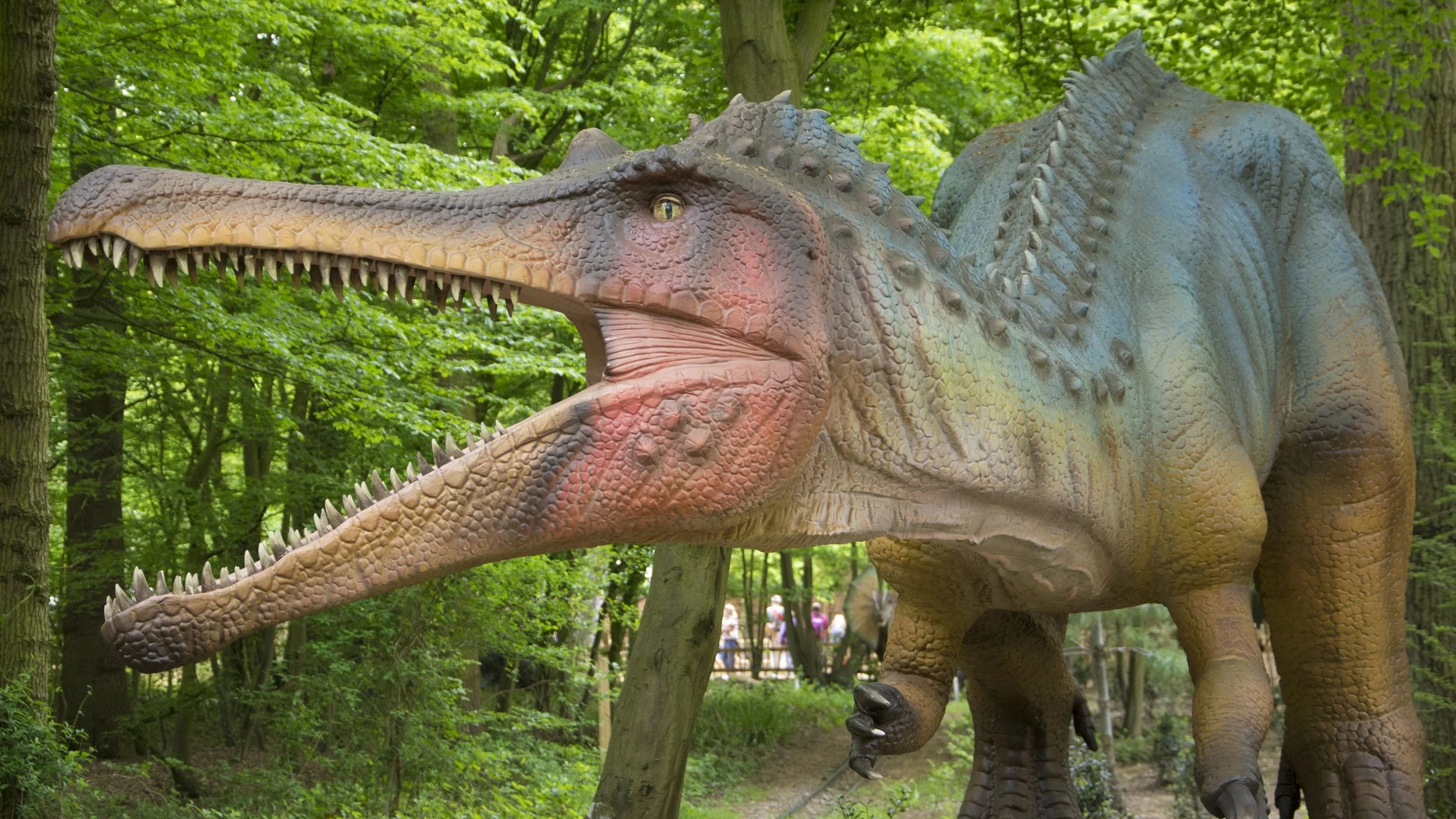 Baryonyx 1.jpg