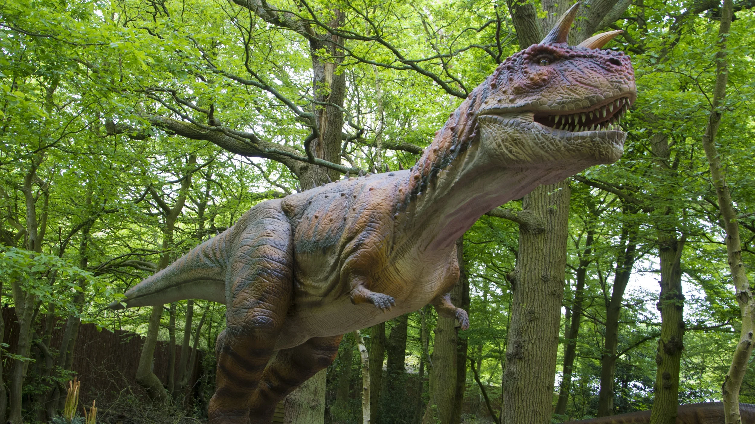 Carno 2.jpg