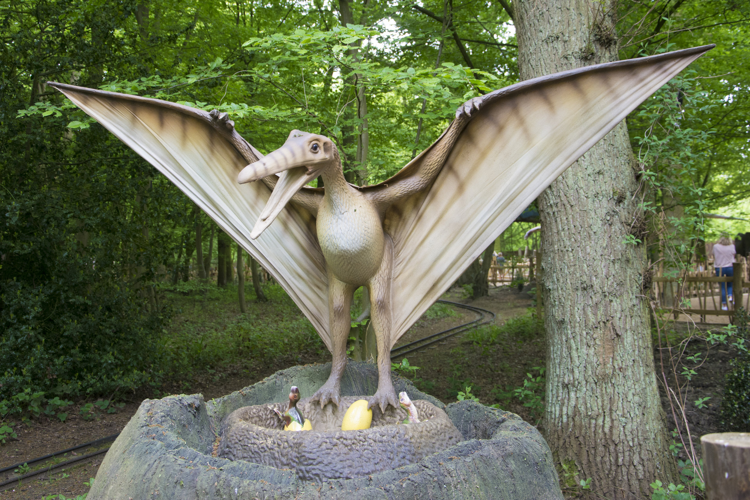 Pteranodon 1.jpg