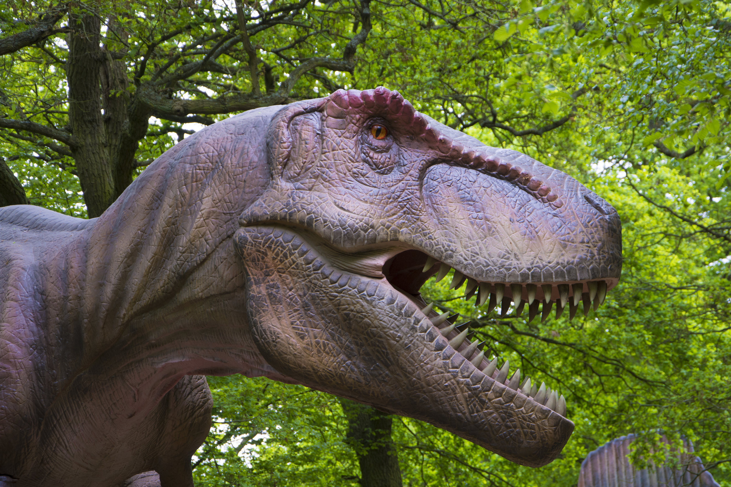 T-Rex 1.jpg