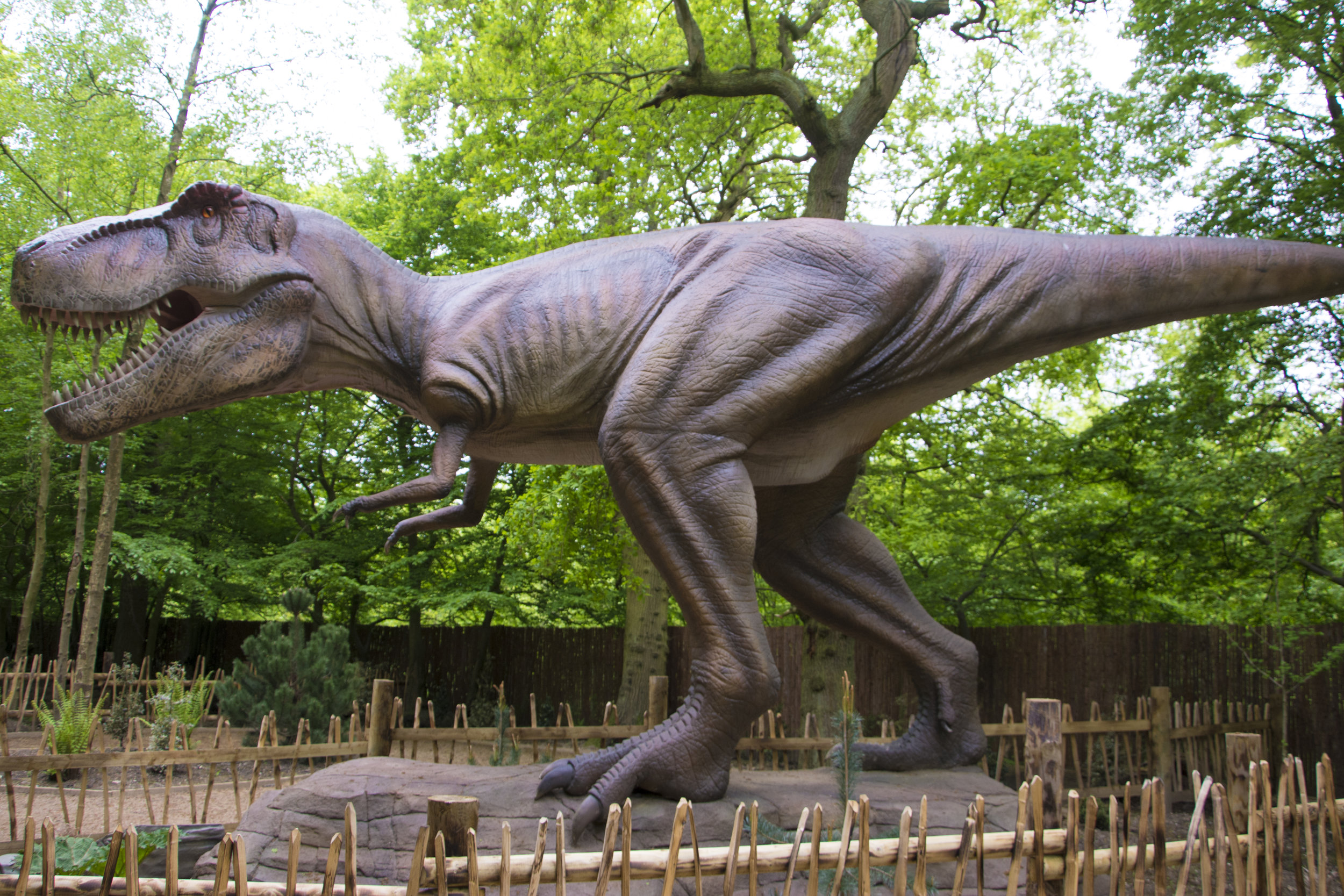 T-Rex 3.jpg