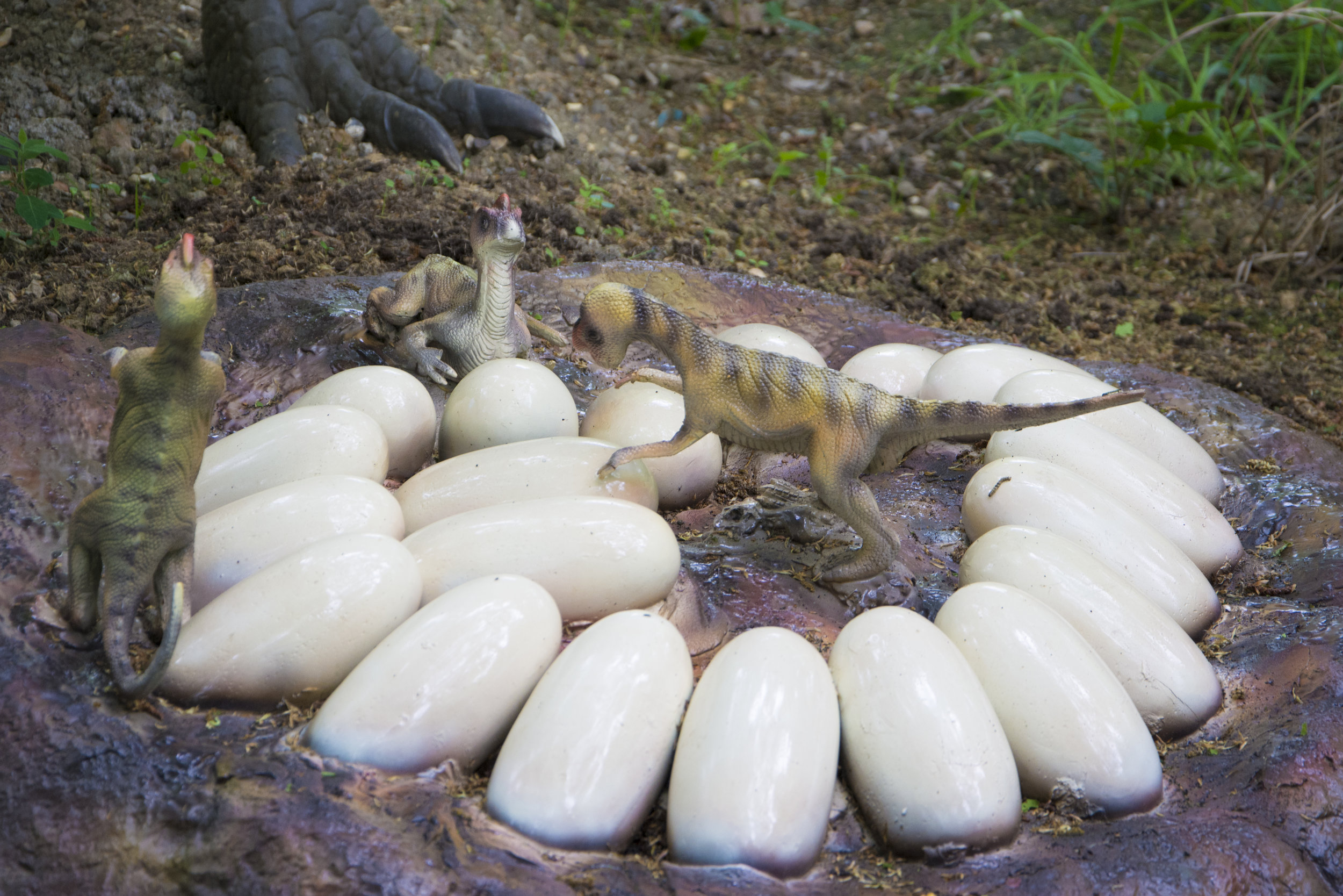 Baby Oviraptors 1.jpg