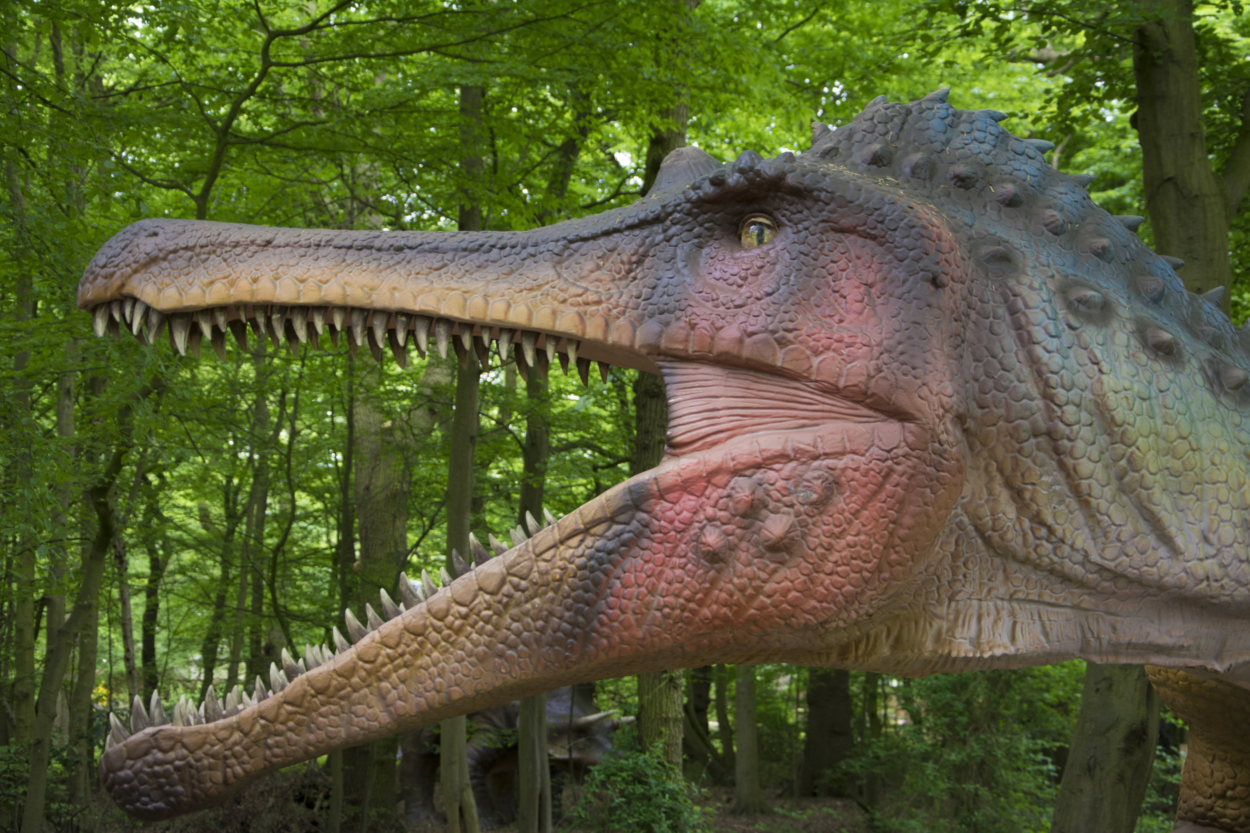 Baryonyx 2.jpg