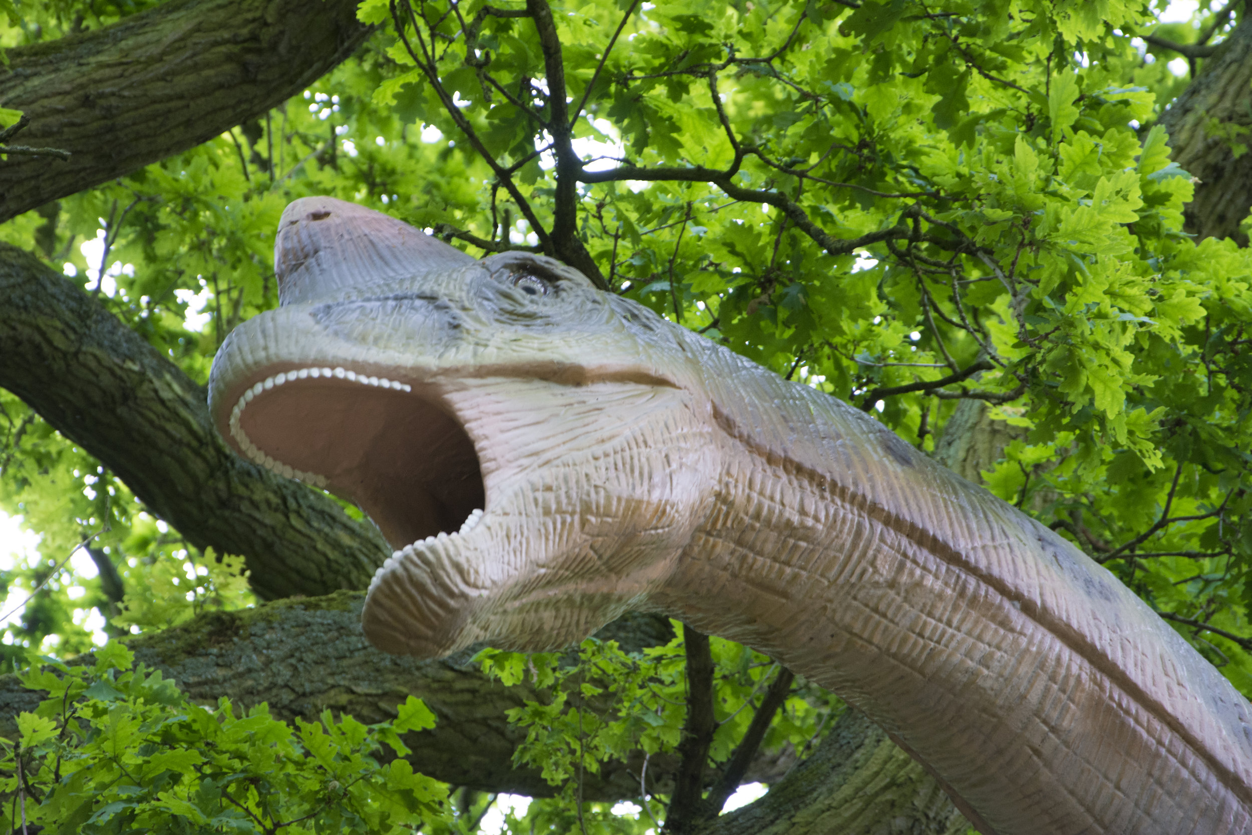 Brachiosaurus 2.jpg