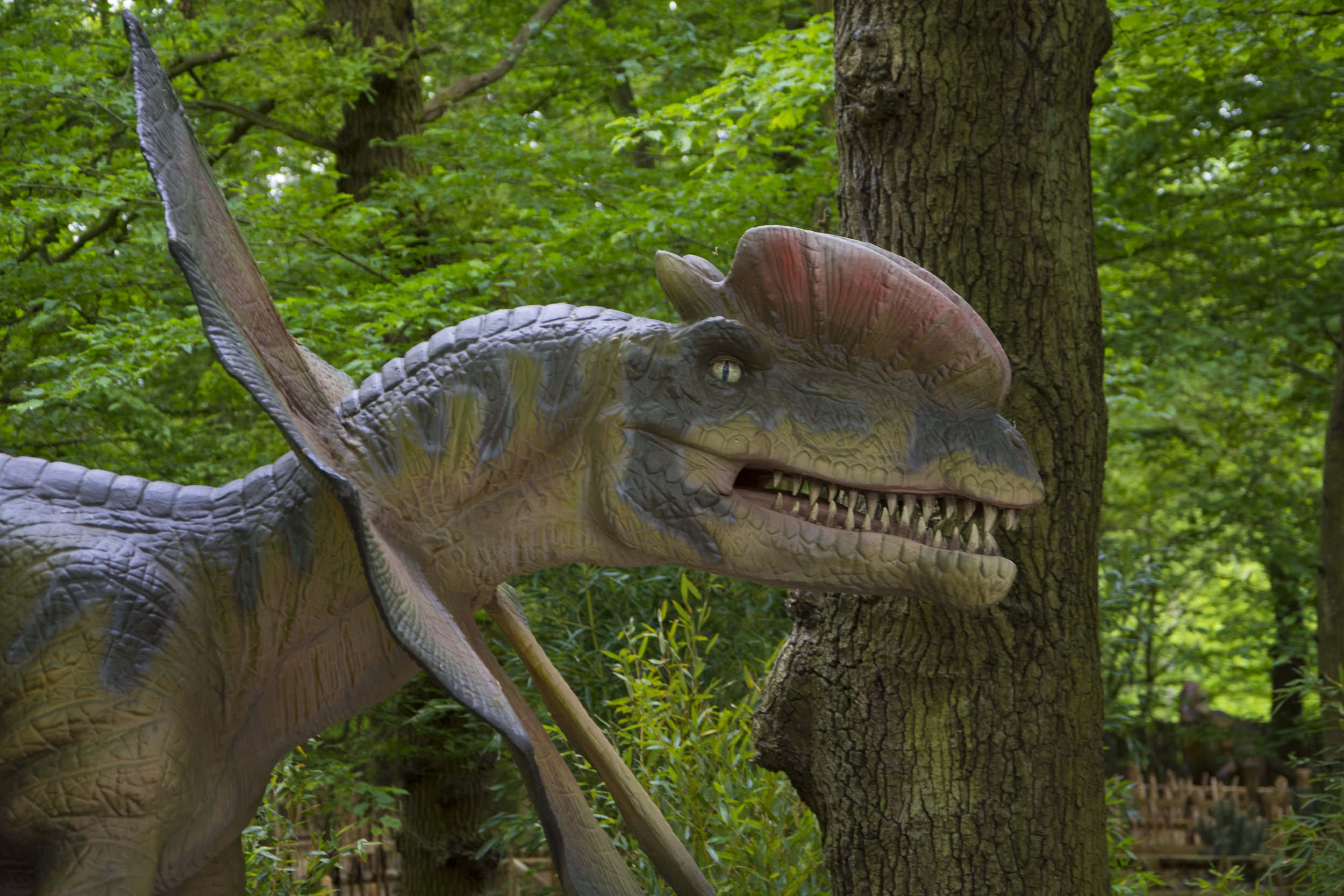 Dilophosaurus 1.jpg