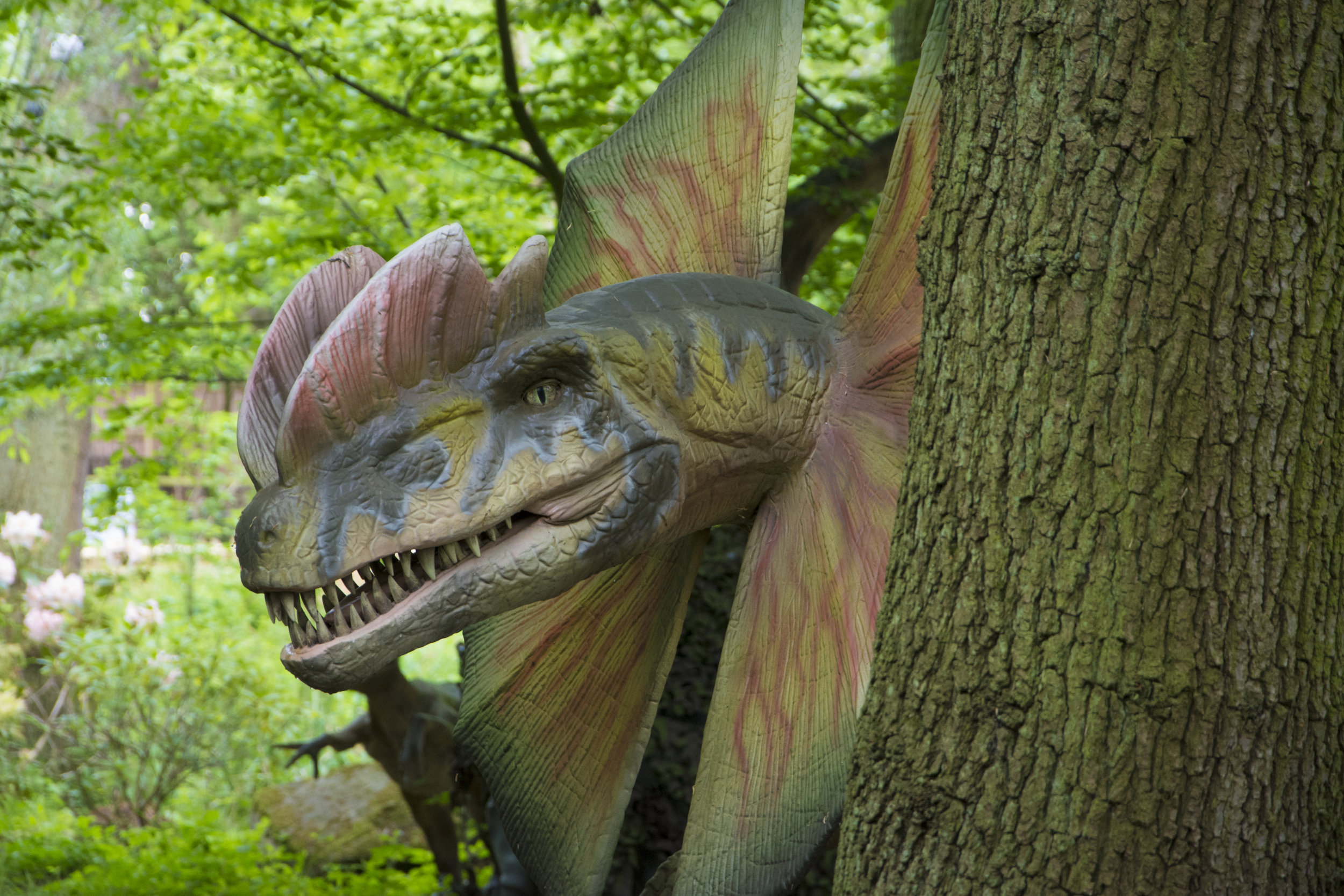 Dilophosaurus 2.jpg