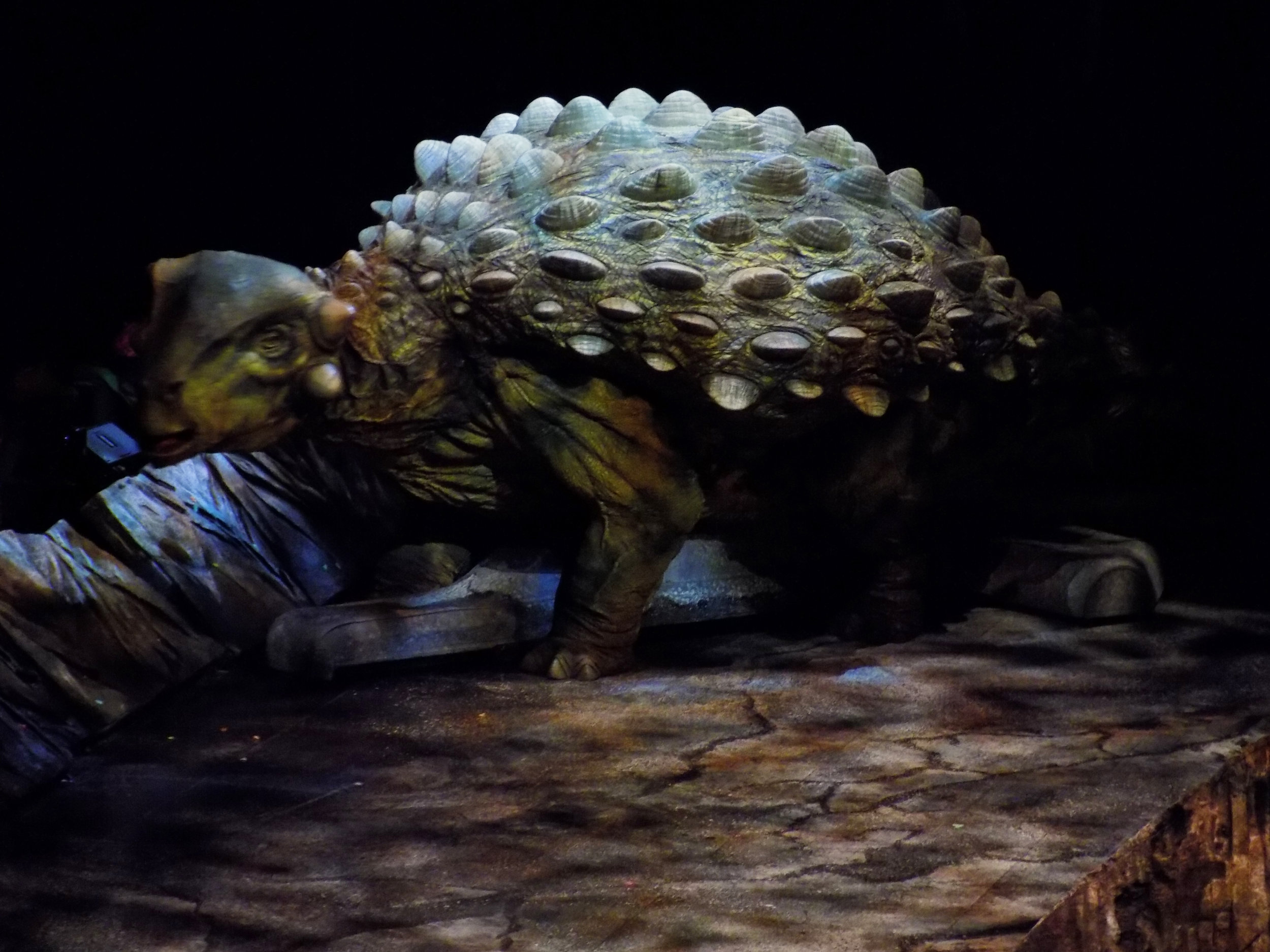 Ankylosaurus 2.jpg