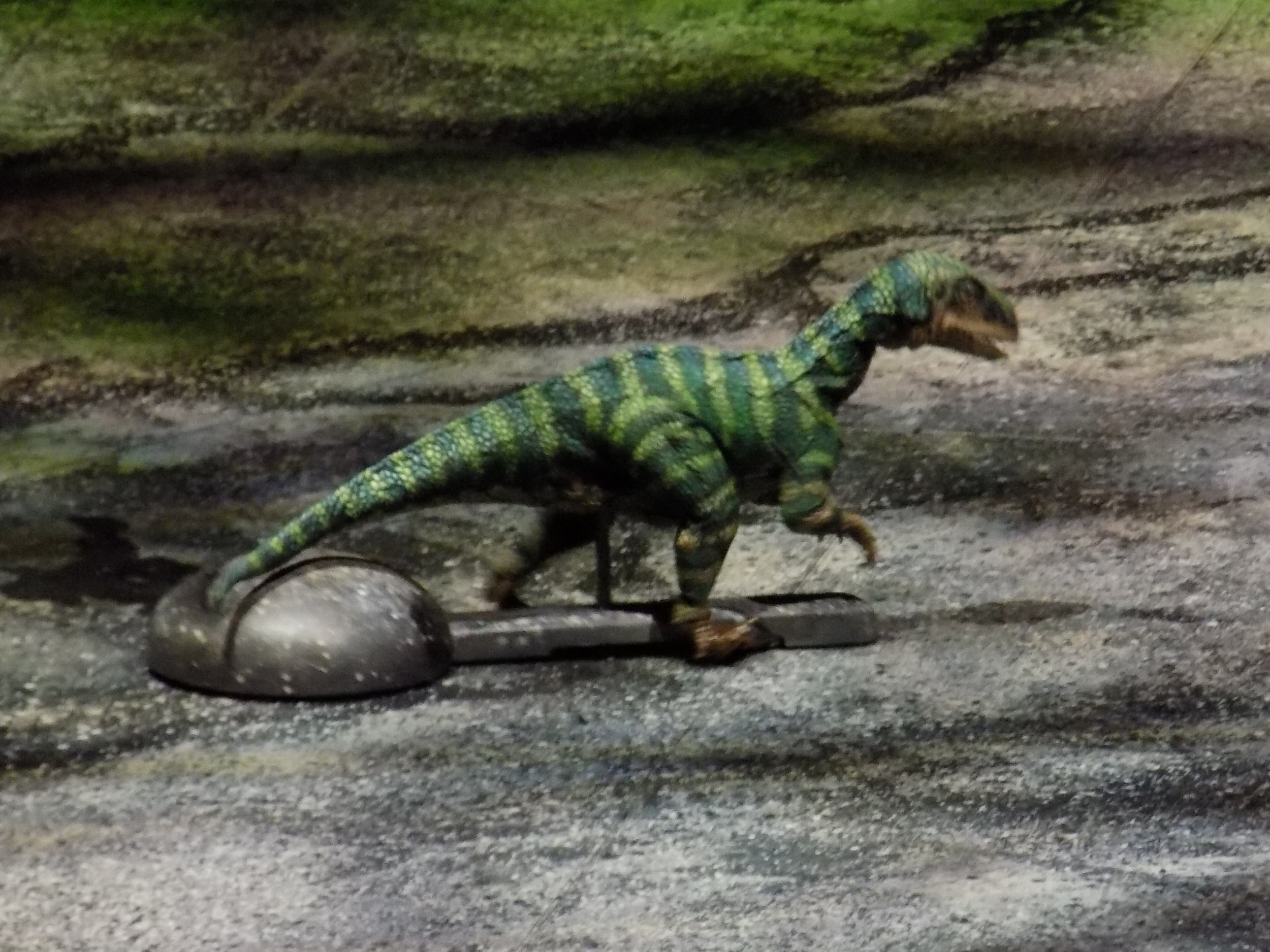 Plateosaurus Baby.jpg