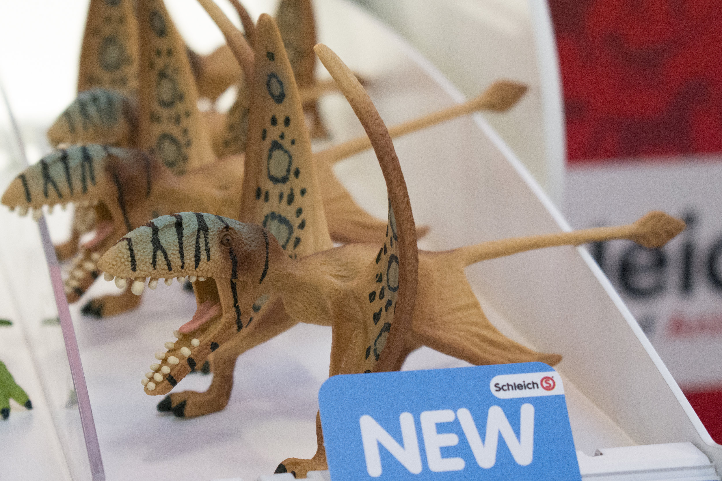 Dimorphodon.jpg