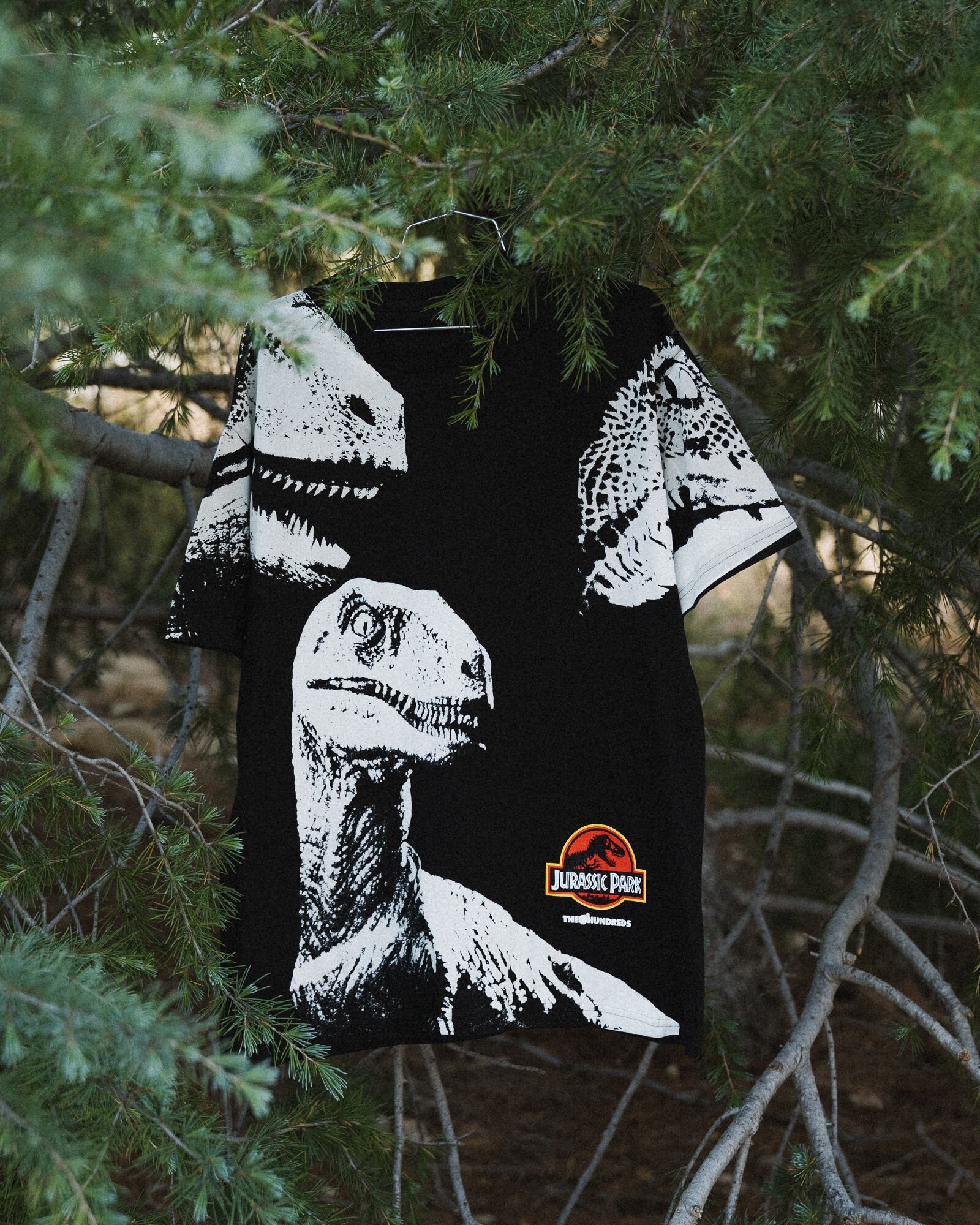 Jurassic Park The Hundreds 2025 | columbusdoor.com Jurassic Park The Hundreds 2025 | columbusdoor.com