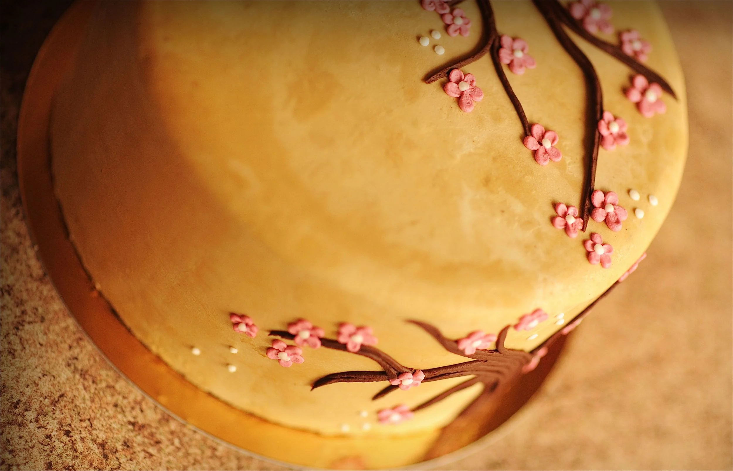 CU40 blossom.jpg