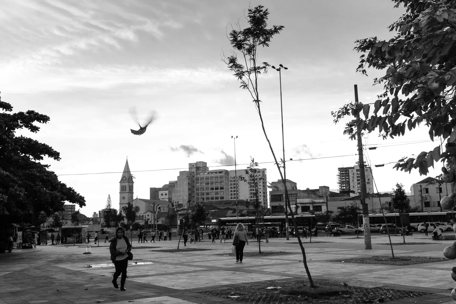 045_seessarua_044.jpg