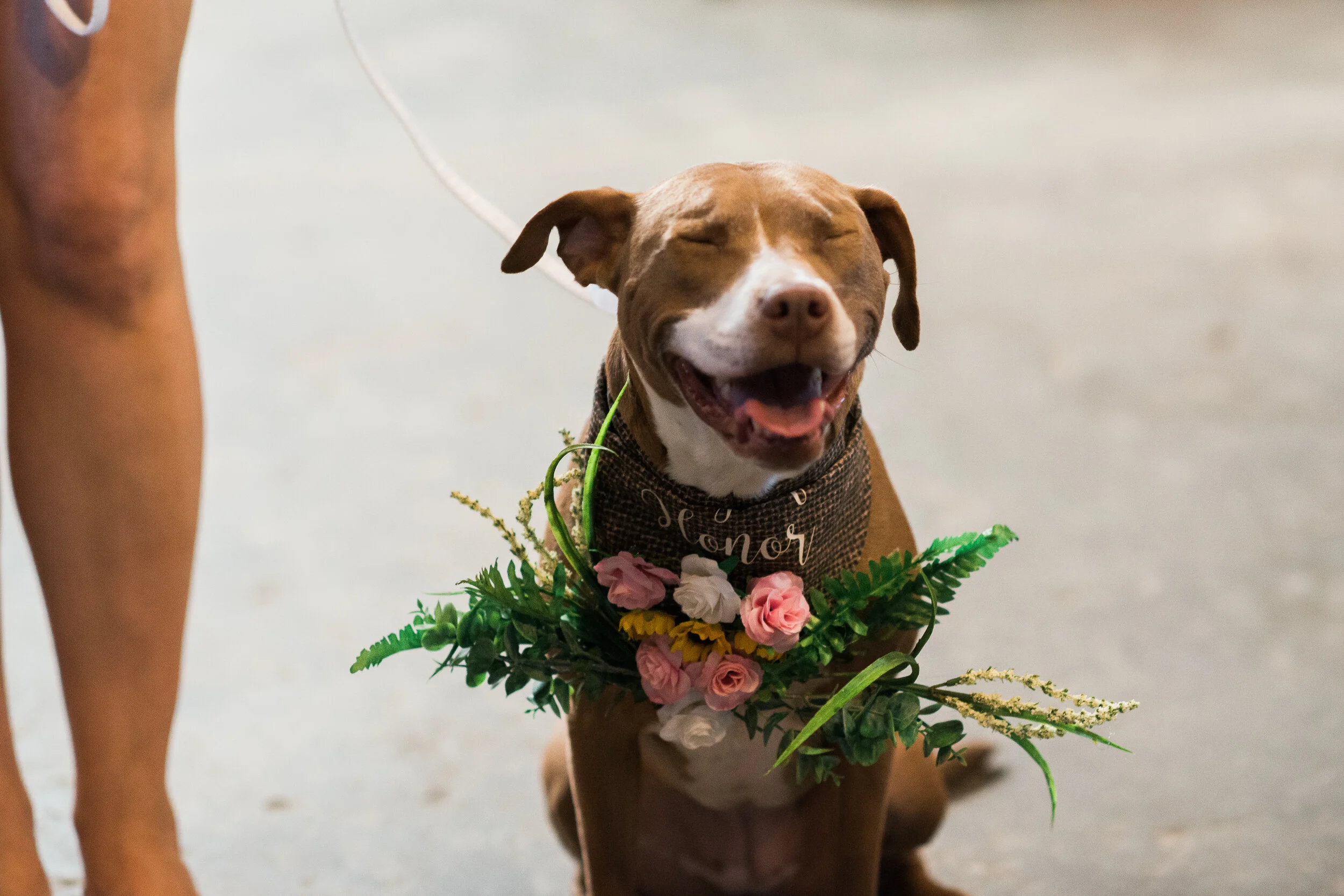 Wedding-2.jpg