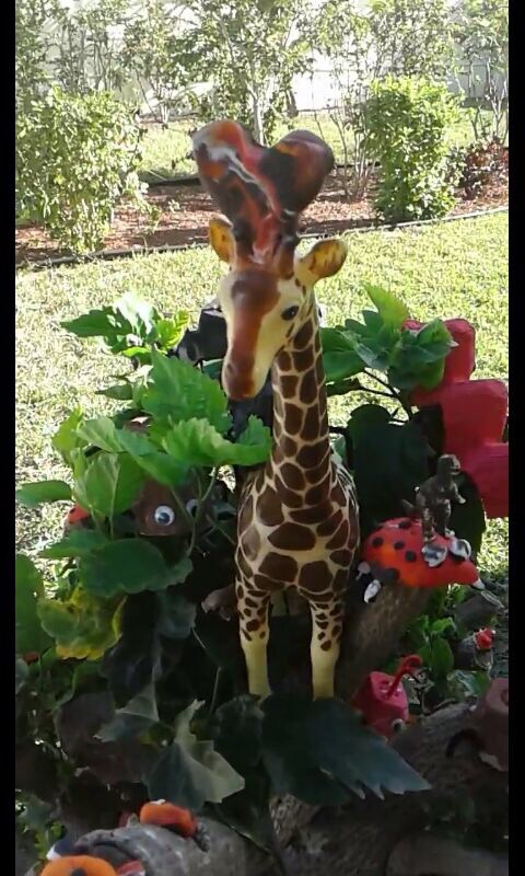 giraffe 2 (1).jpg