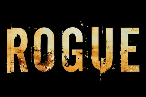DIRECTV's Chicago Crime Drama Rogue