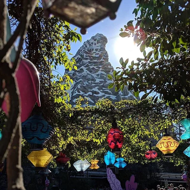 #matterhornmonday, framed.
📸: @epicdisneygirl