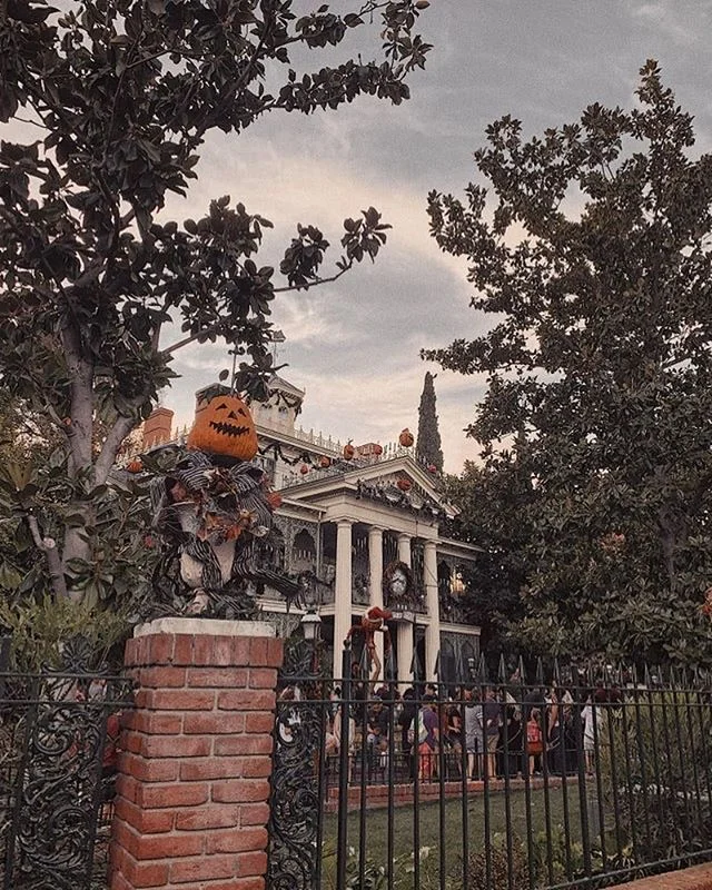 Last day of summer and I already don&rsquo;t miss it 🎃.
📸: @thefiims