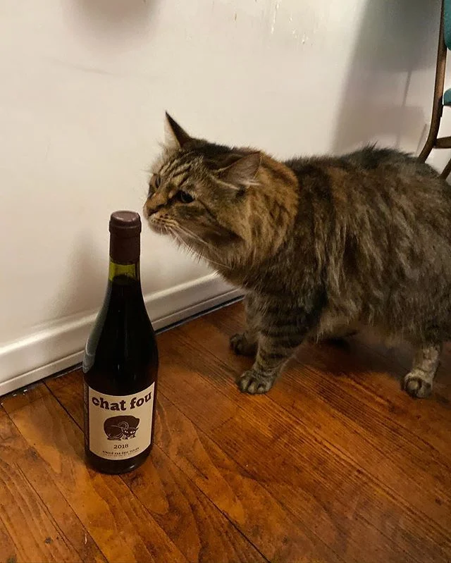 What&rsquo;s this #naturalwine thing and is it anything involving tuna?
