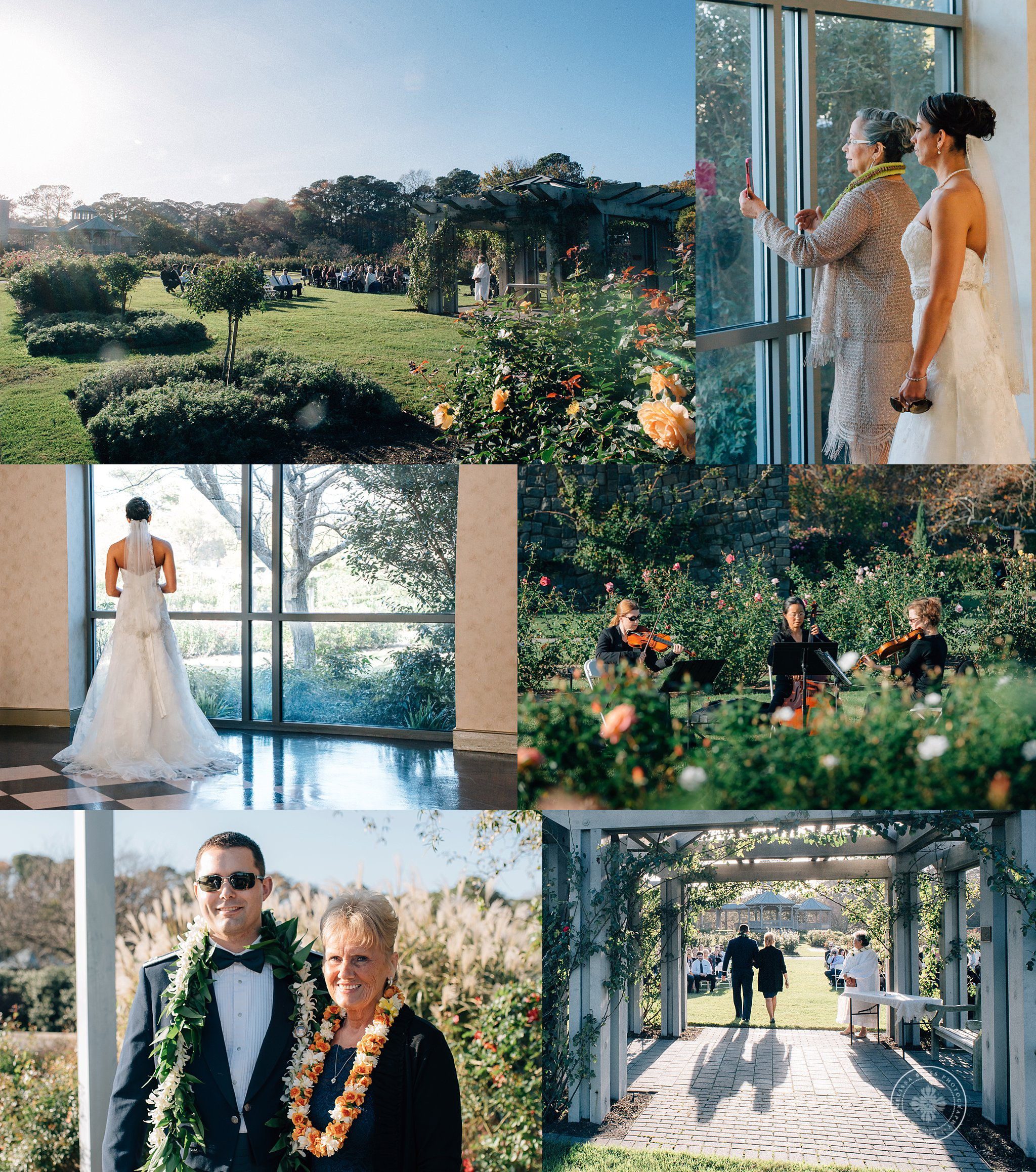 Va Wedding Photographers Norfolk Botanical Gardens Wedding
