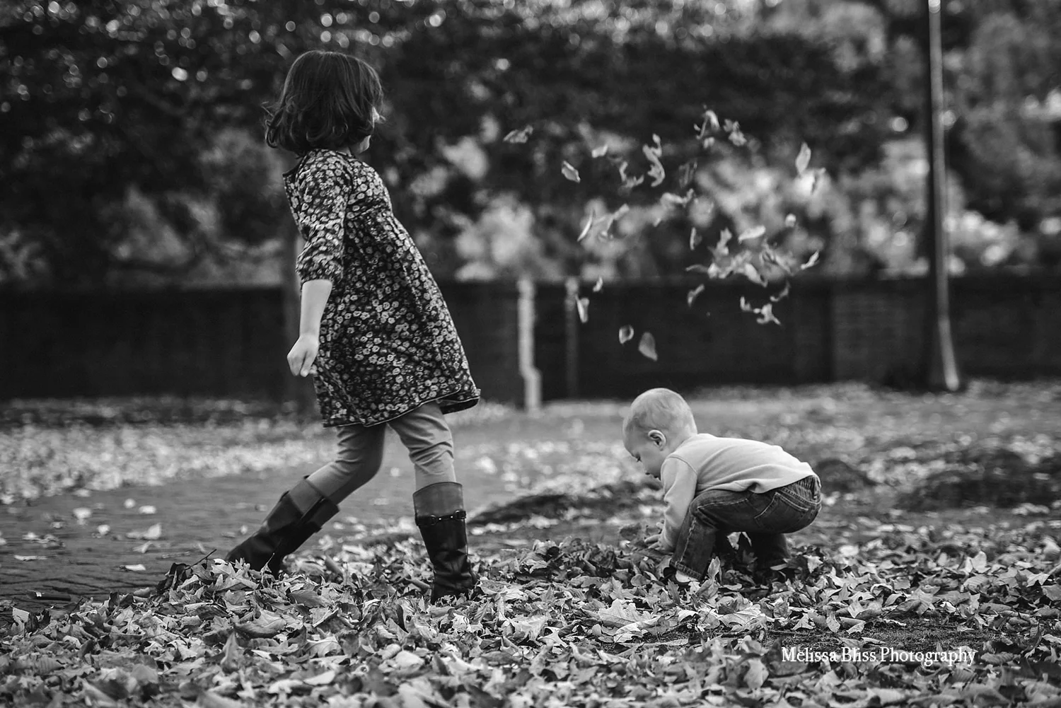 children-playing-in-fall-leaves-williamsburg-family-lifestyle-session-by-melissa-bliss-photography.jpg