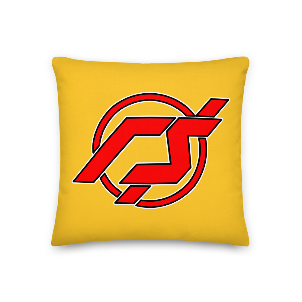 flash pillow.png