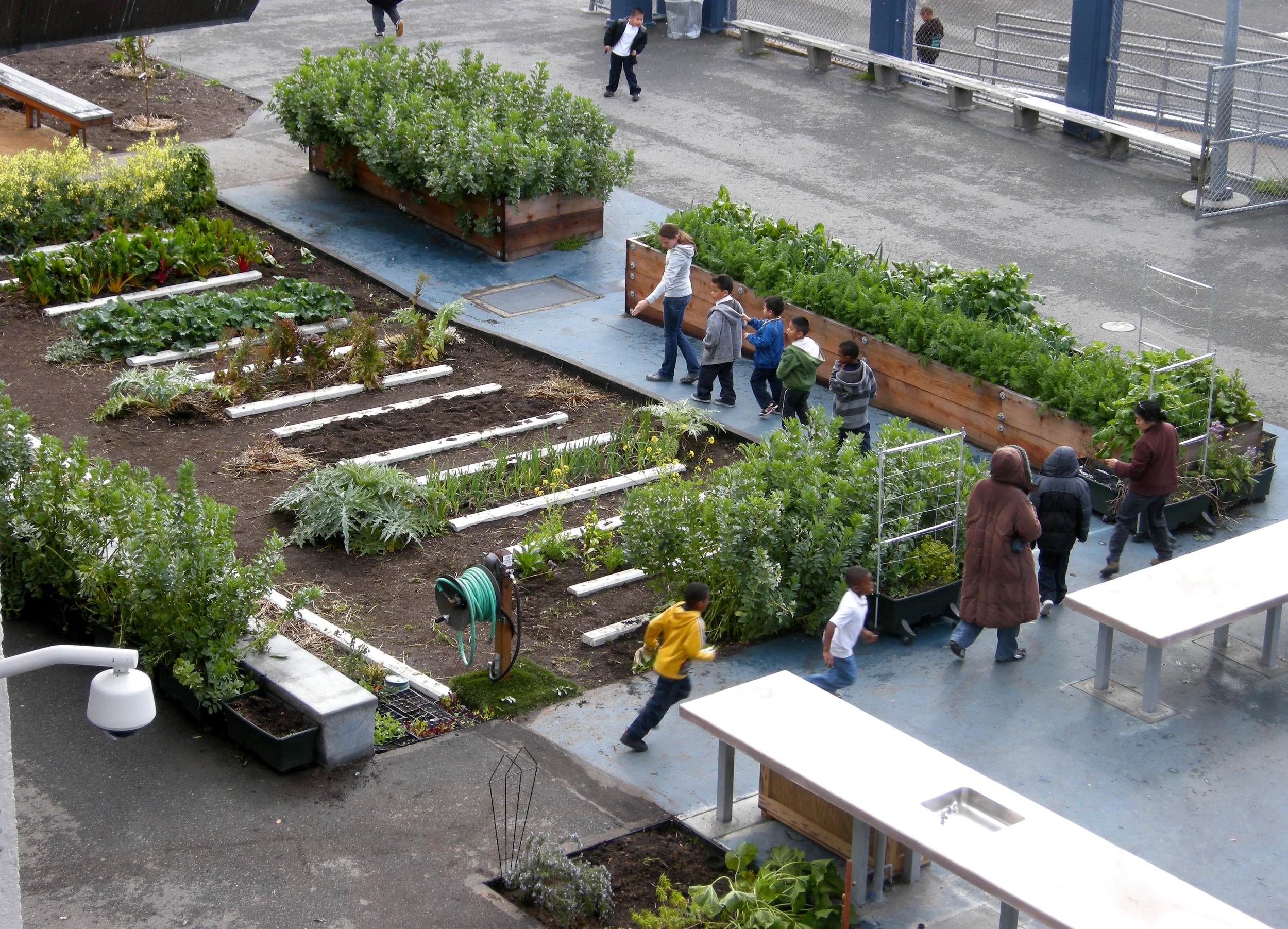 RosaParks_garden cropped.JPG