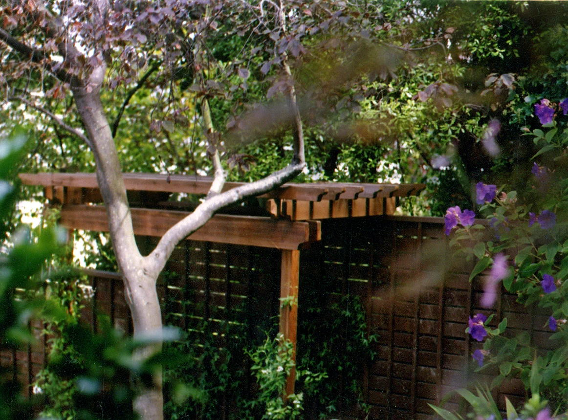 Baird_Arbor_retouched.jpg